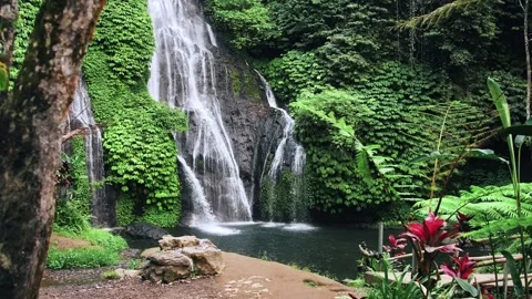View on Water of Mountain Waterfall Falling in Green Nature of Forest Landscape 스톡 동영상 252059933