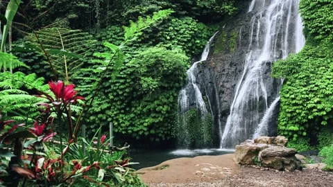 View on Water of Mountain Waterfall Falling in Green Nature of Forest Landscape Vídeos de archivo 255291989