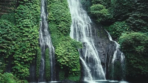 View on Water of Mountain Waterfall Falling in Green Nature of Forest Landscape Stock Footage 255630709