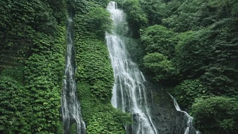 View on Water of Mountain Waterfall Falling in Green Nature of Forest Landscape Stock Footage 258421509