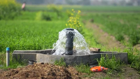 View of a water pump gushing in a green field, India. Vídeos de archivo 335608416