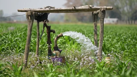 View of a water pump gushing water in a green field, Nepal. Video stock 335473242