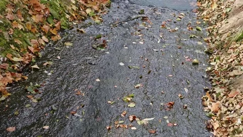 View of water of saint spring on the territory of estate of famous russian Stock Footage 169014580