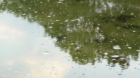 View of water slowly flowing from left to right 스톡 동영상 25775145