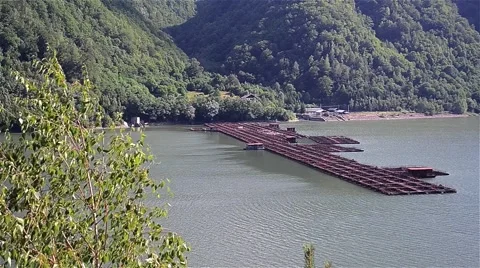 View of a water storage dam. On both sides of the water, you can see  Video stock 59938353