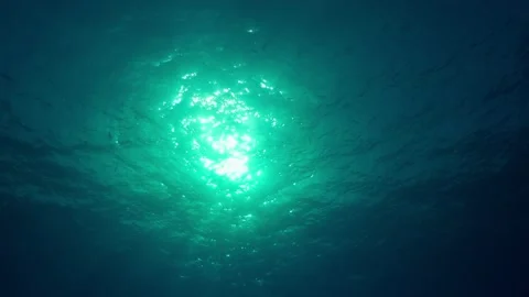 View of the Water Surface and the Sun from Underwater Stock Footage 154470031