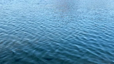 View of the water surface in the lake Stock Footage 167482631