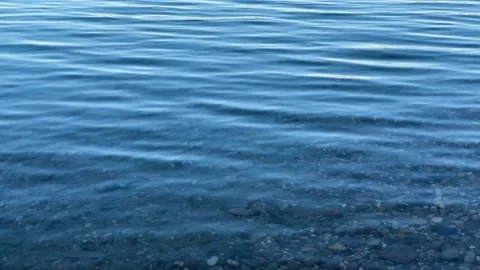 View of the water surface in the lake Stock Footage 167483038
