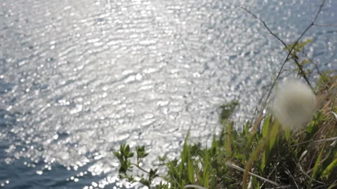 View of the water surface of a mountain lake in sunny weather. Background. Stock Footage 112633534