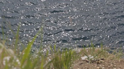 View of the water surface of a mountain lake in sunny weather. Background. Stock-Footage 112633715