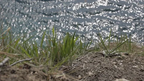View of the water surface of a mountain lake in sunny weather. Background. Stock Footage 112633862