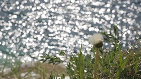 View of the water surface of a mountain lake in sunny weather. Background. Stock-Footage 112640558