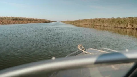 View of water surface of river from boat moving forward. dyre reeds are on both Stock Footage 125304480