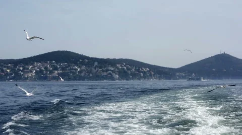 View Of Water Trail Stock Footage 65393408