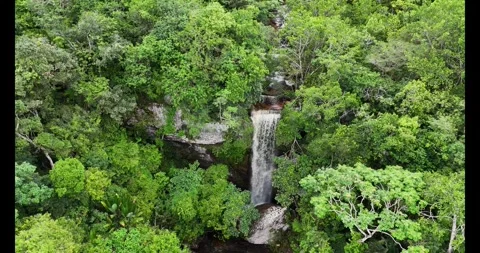 View of Waterfall Amid Lush Green Forest in Guaviare Video stock 336567639