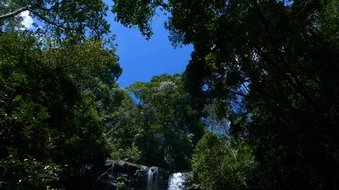 View of a waterfall and its beautiful surroundings,  in slow motion, India 動画素材 119414571