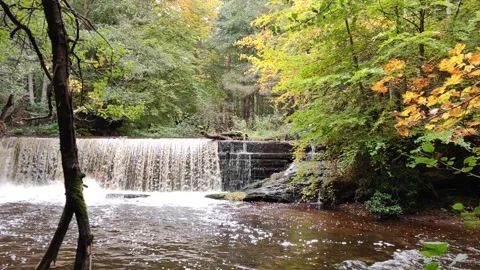View of a waterfall in the autumn 動画素材 141947043