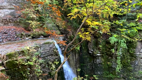 View of waterfall in autumn forest Stock Footage 223925508