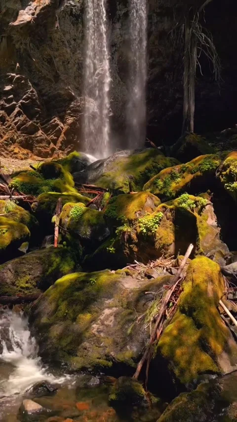 View of waterfall in autumn forest Stock Footage 274279612