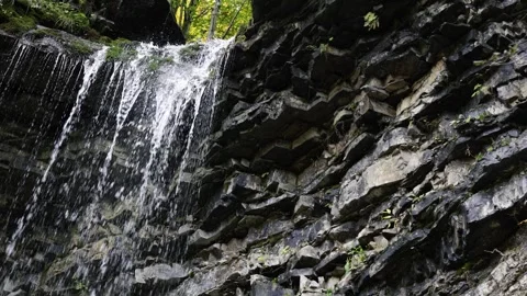 View of a waterfall in the Carpathian Mountains Stock Footage 319344927
