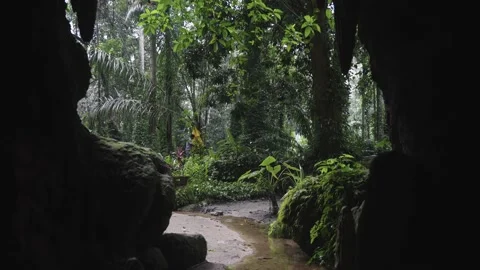 View at Waterfall from Cave 库存影片 195901424