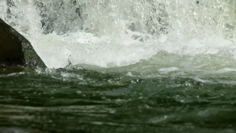 View of a waterfall in a clear and fast-flowing mountain river Stock-Footage 320923189