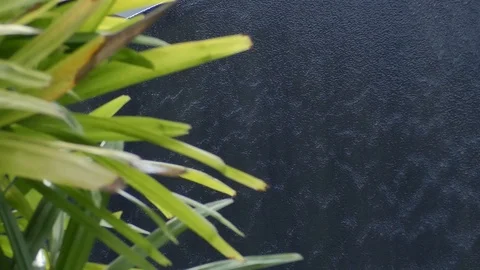 View of the waterfall Stock Footage 112664410