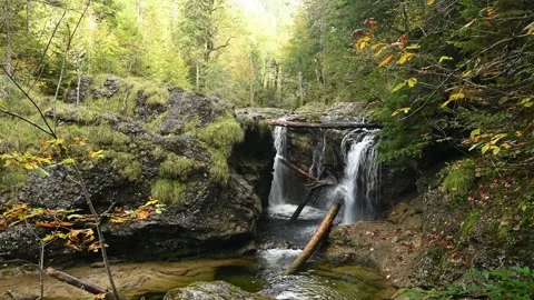 View of a waterfall in a forest in autumn Stock-Footage 260867253