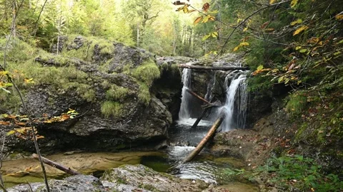 View of a waterfall in a forest in autumn Video stock 260867373