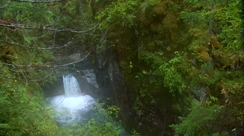 View of waterfall in forest, Canada Stock Footage 60690955