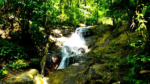 View of the waterfall in the forest Video stock 33711379