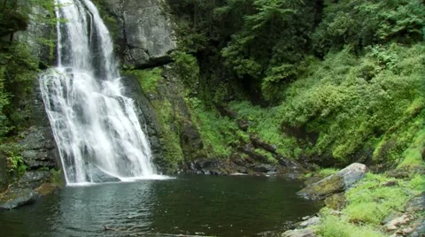 View of waterfall in forest Stock Footage 61085437