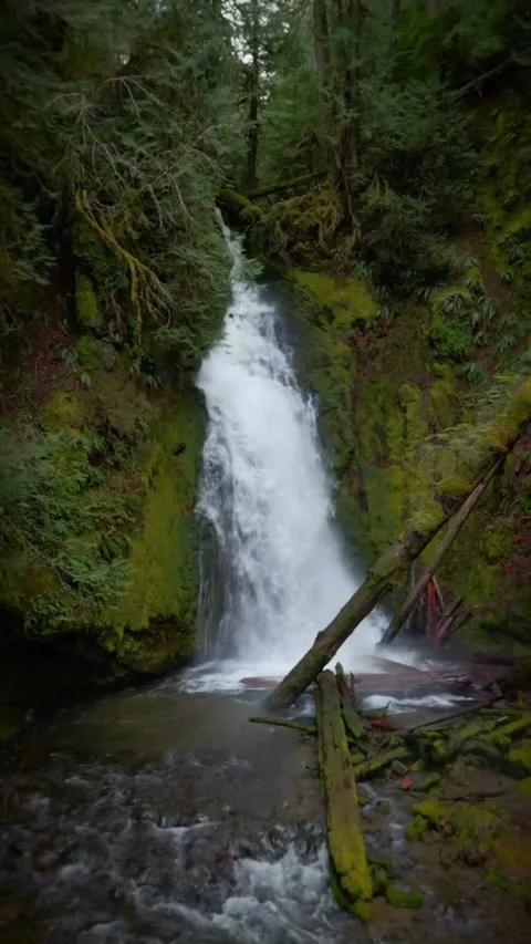 View of waterfall in the forest Stock Footage 273982115