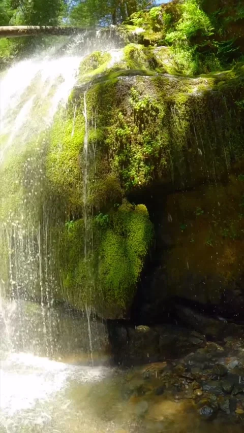 View of waterfall in the forest Stock Footage 274276475