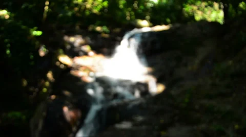 View of the waterfall in the forest on the move Video stock 33712914