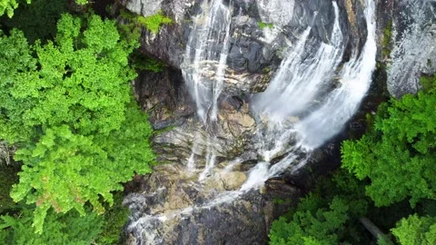 View of waterfall lifting up to view the surrounding forest Stock Footage 158324327