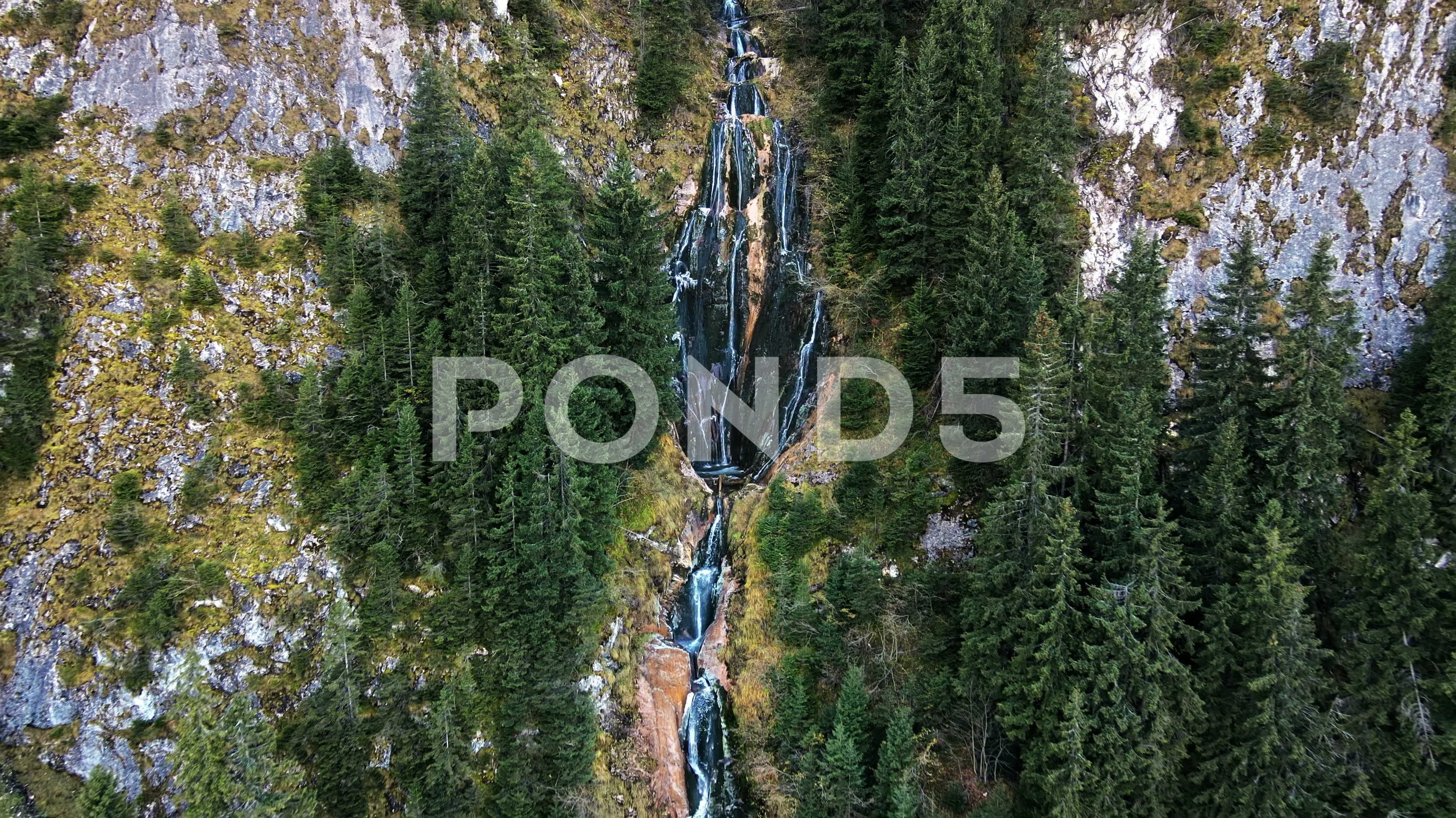 Cascading waterfall of a mountain stream in the Carpathians 4709528 Stock  Photo at Vecteezy