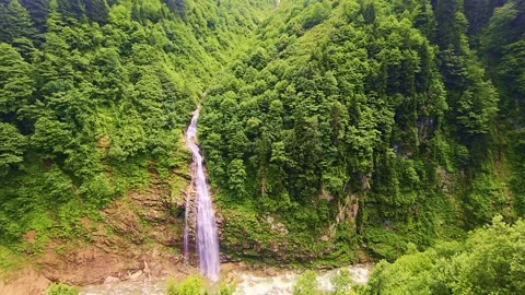 A view a waterfall in a lush. Stock Footage 284688826