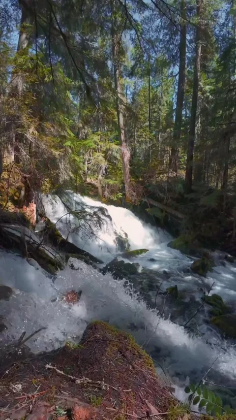 View of waterfall in the mountains Stock Footage 273868025
