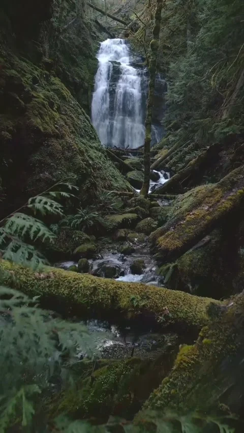 View of waterfall in the mountains Stock Footage 274041010
