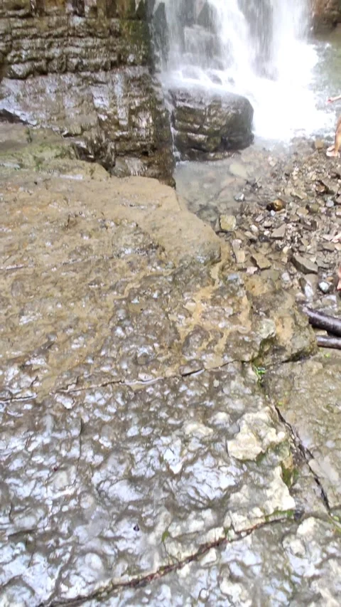 View of waterfall in mountains forest Stock Footage 165679287