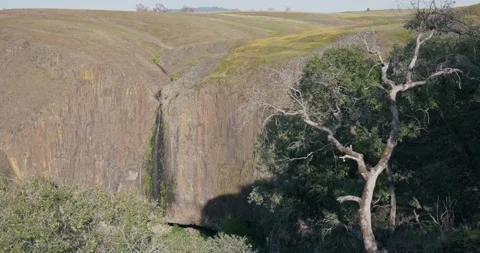 View of waterfall over a cliff with yellow wildflowers and an oak tree Stock Footage 303512193