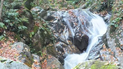 View of the waterfall Stock Photos