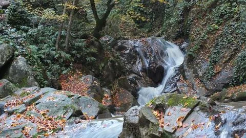 The view of the waterfall Stock Photos