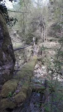 The view of the waterfall Stock Photos
