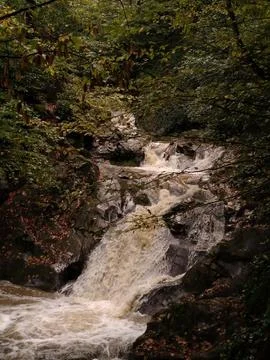 The view of the waterfall Stock-Fotos