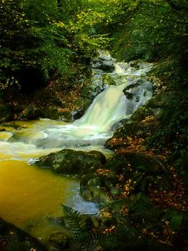 The view of the waterfall Fotos de archivo