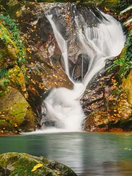 The view of the waterfall 库存照片