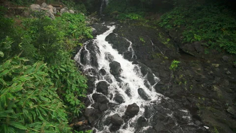 A view of waterfall in a rain forest Stock Footage 134503436