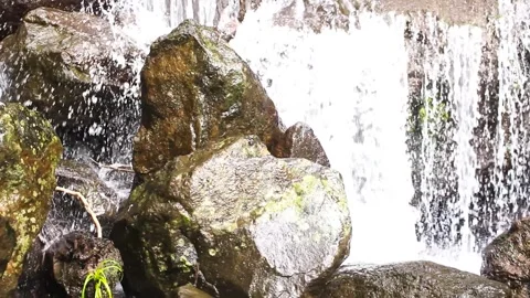 The view of the waterfall with rocks and clear water Stock Footage 247427500